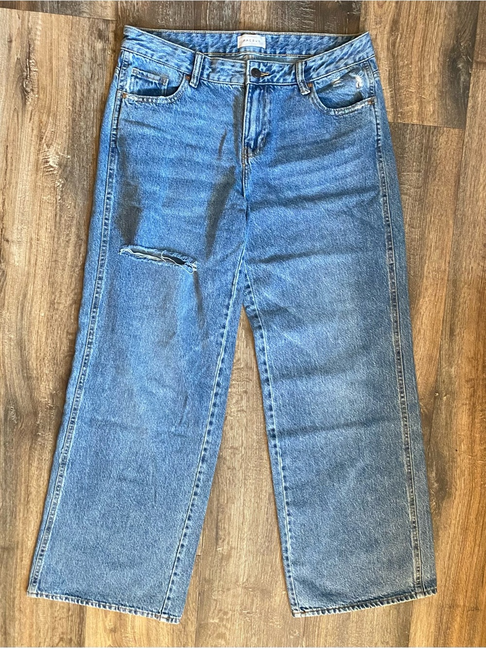 PacSun Lowrise Baggy Jeans